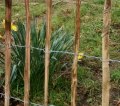 Eingezäunter Gemüsegarten?
