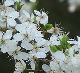 Frühling